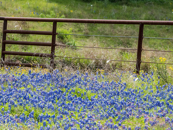Texas Hill Country