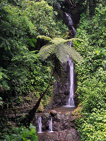 Waterfall in Rainmaker